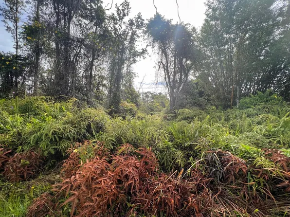 16-1695 Road 8 Lot 5142, Kurtistown, HI 96760