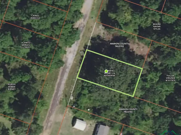 Shawnee Trl, Jefferson, TX 75657