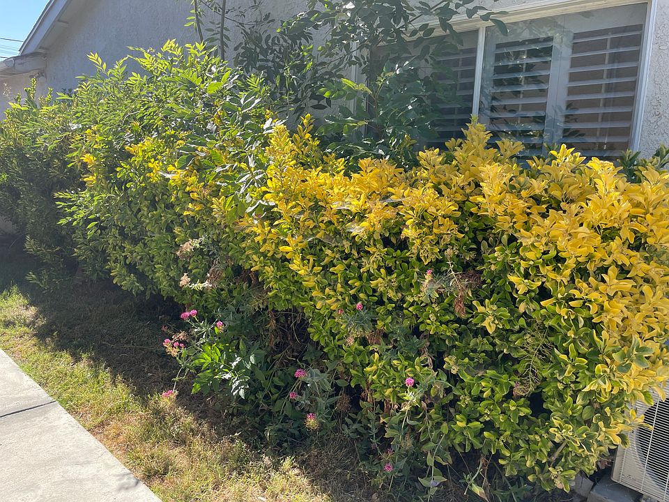 1st image of 6916 McLaren Ave