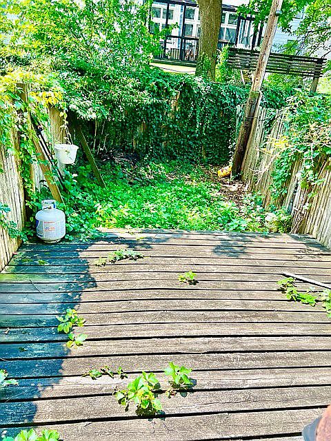 1st image of 336 14th St APT 1L