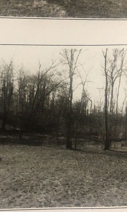 2nd image of 2826 Sweden Walker Rd