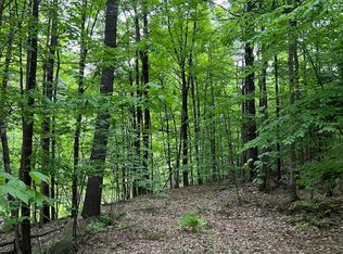 107 Split Rock Rd, Hague, NY 12836