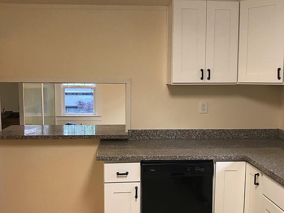 Dishwasher with new counter tops and cabinets
