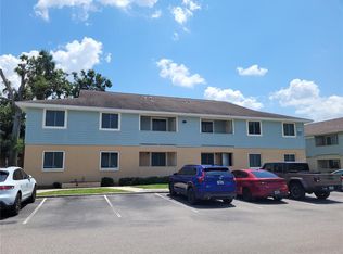 534 Golden Raintree Pl #8, Brandon, FL 33510