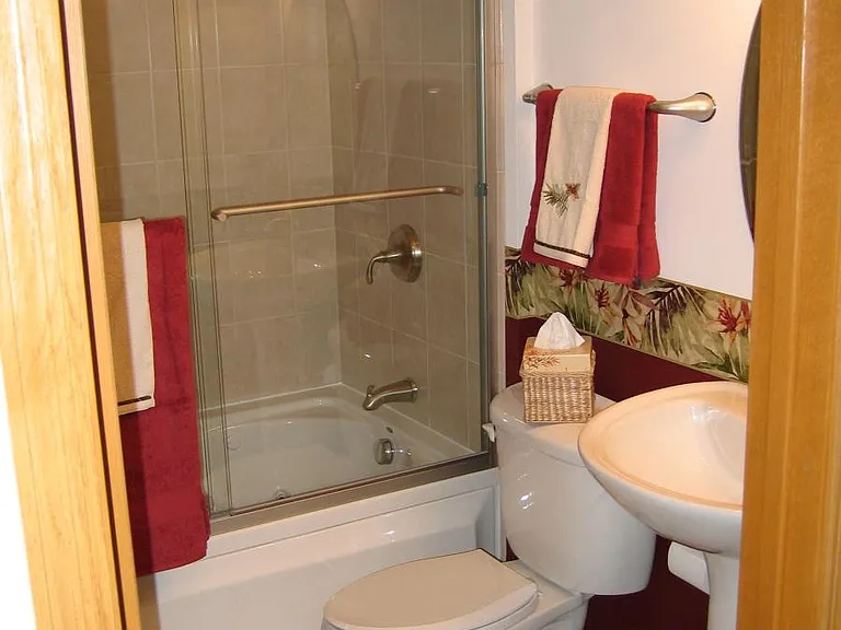 Basement Bath / Jetted Tub