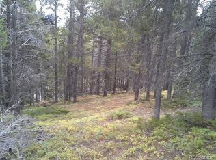 0 Glory Hole Rd #400, Idaho Springs, CO 80452