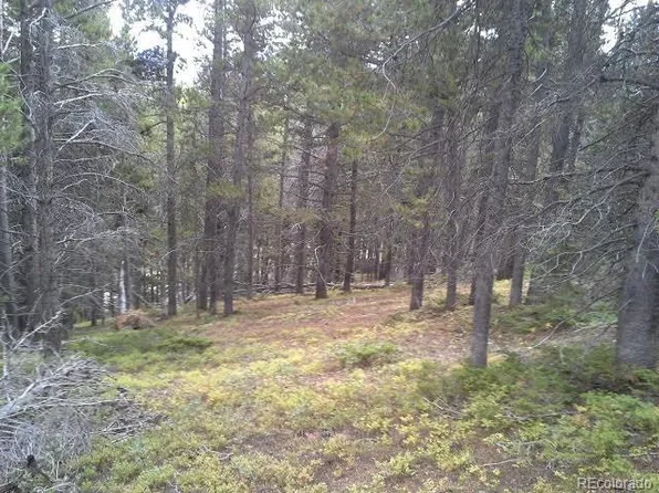 00 Glory Hole Road LOT 400, Idaho Springs, CO 80452