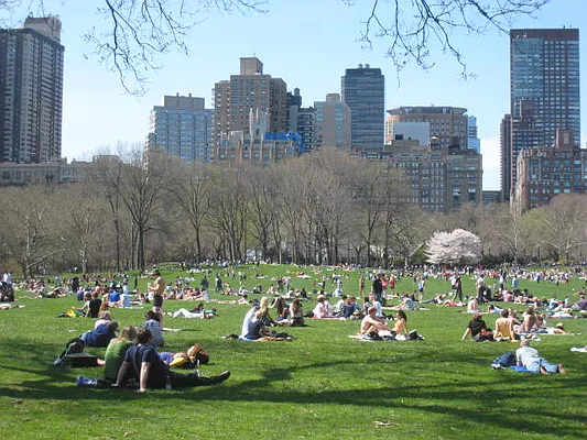 Rented by City Connections Realty | media 1