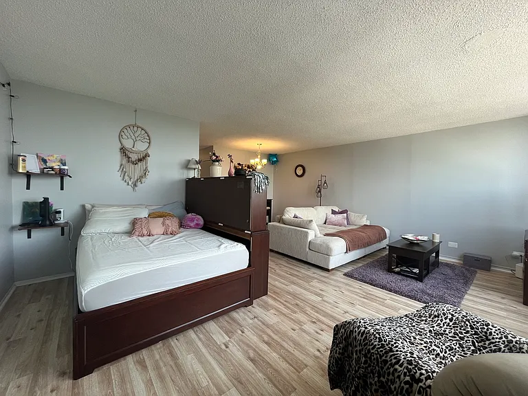 5320 N Sheridan Rd #1210 — Photo 9