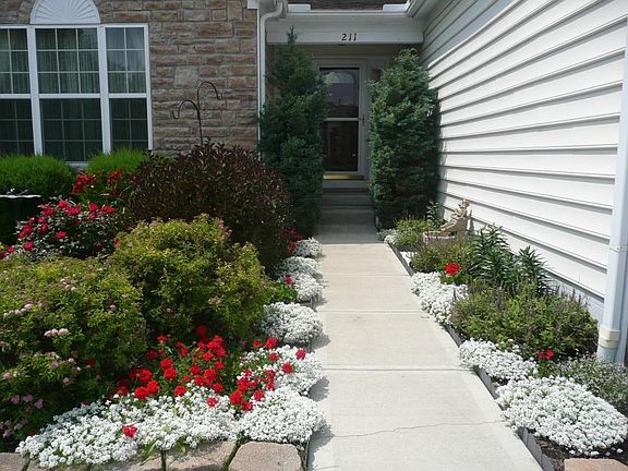 2nd image of 211 Harmony Dr