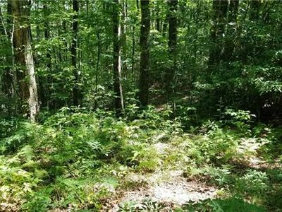 0 Little Snowbird Rd #10, Robbinsville, NC, 28771