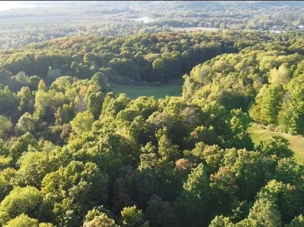 0 Shanty Creek Rd, Bellaire, MI 49615