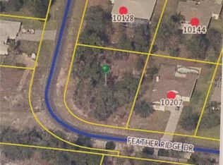 10197 Feather Ridge Dr, Weeki Wachee, FL 34613
