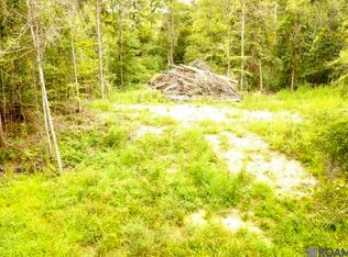 31287 Norred Rd, Holden, LA 70744