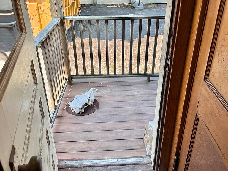 Looking out back door. Screen is on order. Basement to right.