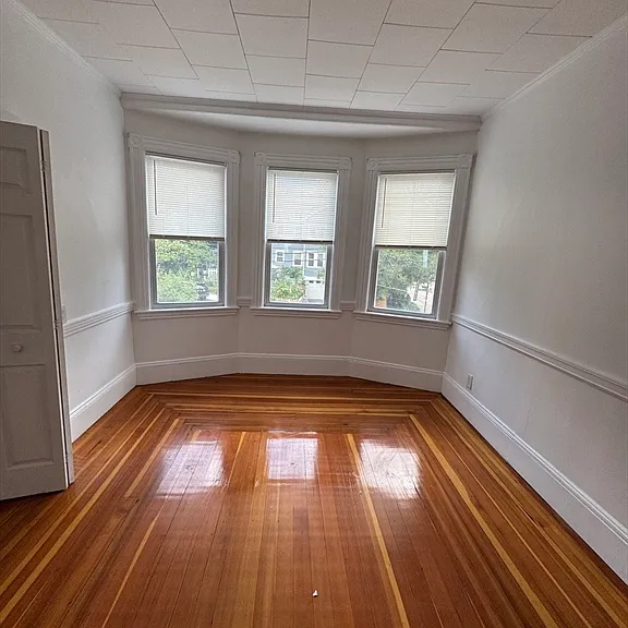 16 Falkland St #2 — Photo 18