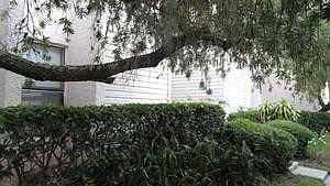 2nd image of 7829 Niagara Ave #2004