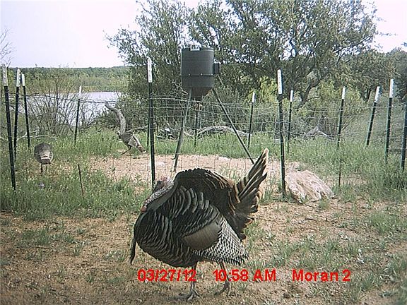 2nd image of 1825 County Road 132