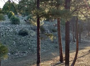 1468 Shade Tree Dr #H, Heber, AZ 85928