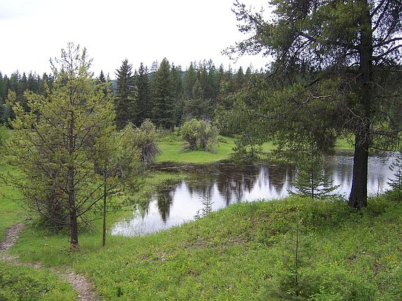 5th image of 93 Nhn Hwy