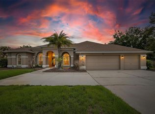 9454 Swift Creek Cir, Dover, FL 33527