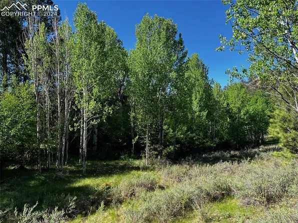 77 Ponderosa Dr, Guffey, CO 80820