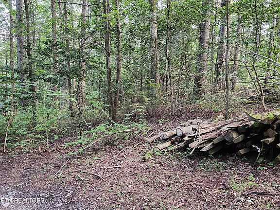 3rd image of 417 Lawson Rd