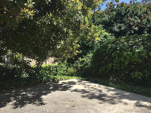 Private yard with macadamia nut tree