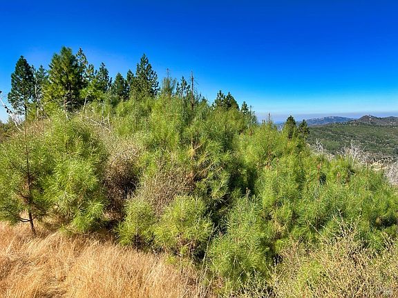 5th image of 11233 Pitney Ridge Road