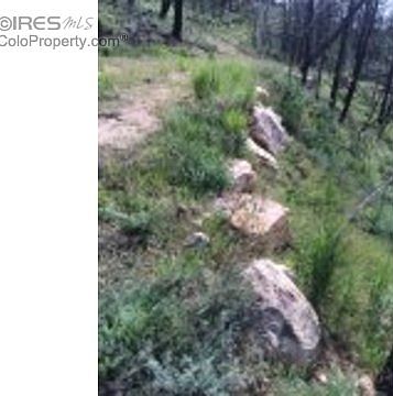 2nd image of 142 Navajo Peak Ct