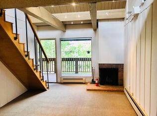 605 E Main St #9, Aspen, CO 81611