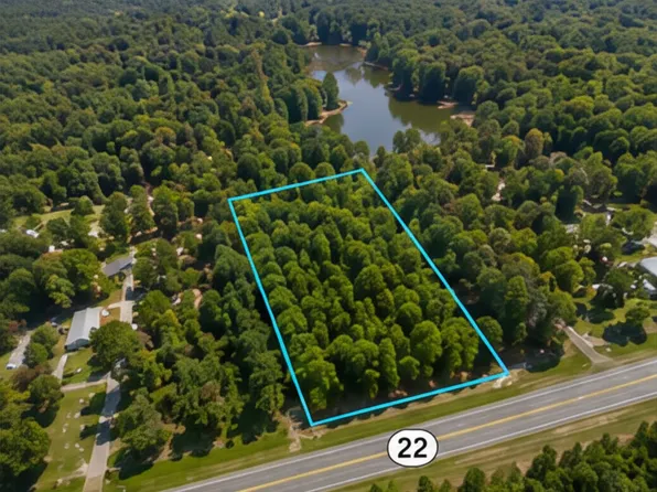 2.5 Acres Hwy #22, Haddock, GA 31033