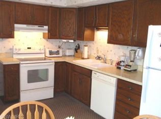 1138 Blossom Dr, Three Rivers, MI 49093