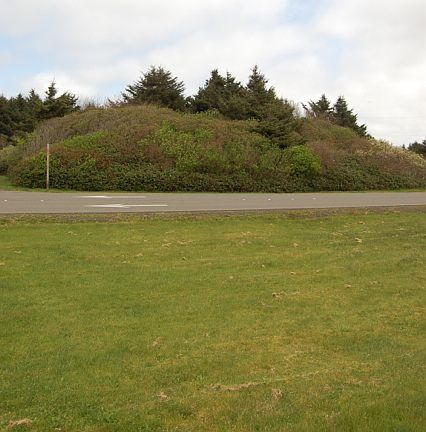 3rd image of 834 Ocean Shores Blvd NW