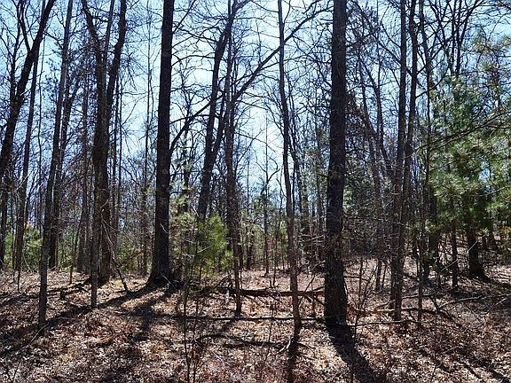 3rd image of 4 Log Lodge Rd #4
