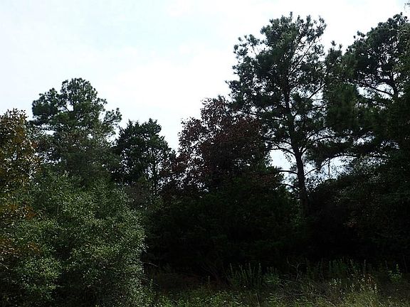 5th image of Piney Ln