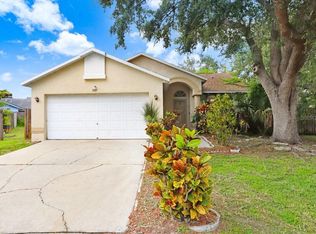 1717 Springwell Pl, Brandon, FL 33511