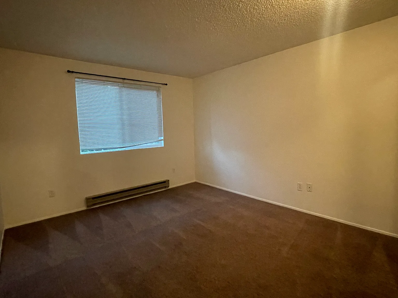 1 bed, 623 sqft, $1,685 — Photo 2