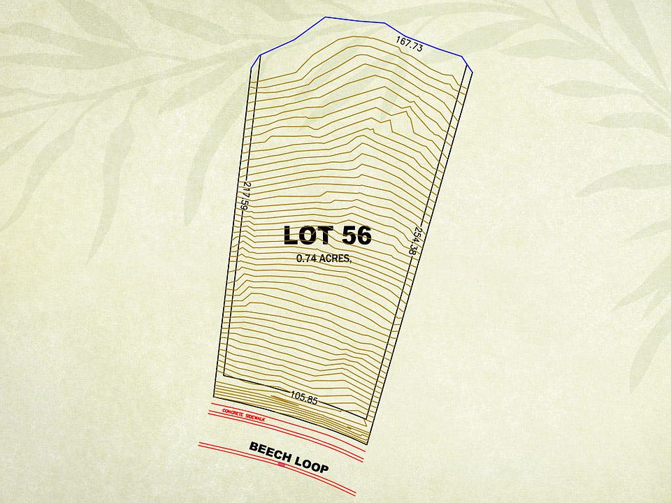 2nd image of 56 Beech Loop