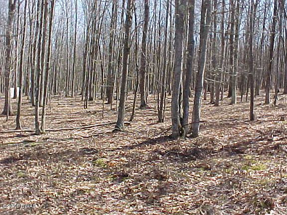 4th image of 24 Fern Dr