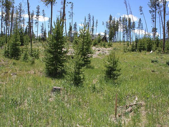 2nd image of 1004 W Elk Meadows Drive GCR 5194W