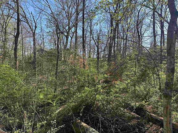 3rd image of 2 Crump Landing Rd