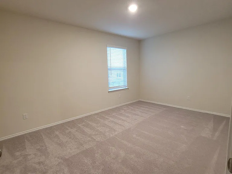 509 Black Alder St — Photo 12