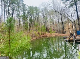 376 Moody & Ll Revell Rd, Manchester, GA 31816