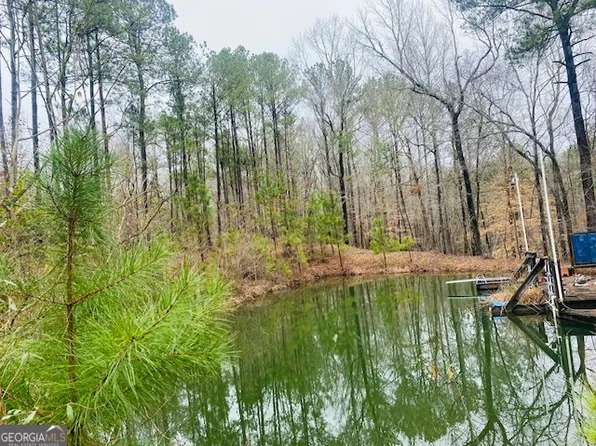 376 Moody & Ll Revell Rd, Manchester, GA 31816
