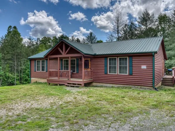 131 Pine Ln, Mineral Bluff, GA 30559