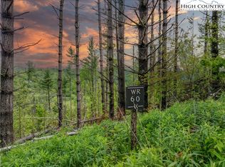 Wr 60 Clouds Rest Dr, Elk Park, NC 28622