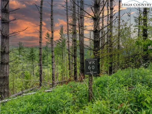 WR-60 Clouds Rest Drive, Elk Park, NC 28622