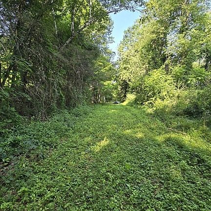 5th image of 360 Grove St