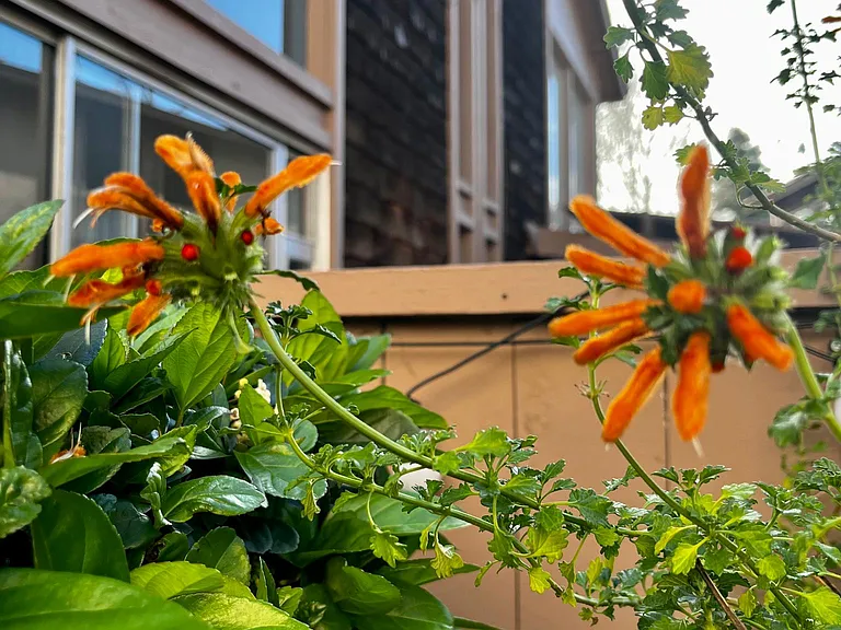 1066 Cabrillo Park Dr #A — Photo 5
